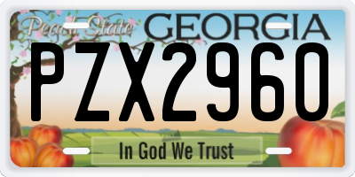 GA license plate PZX2960