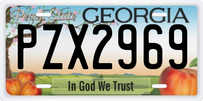 GA license plate PZX2969