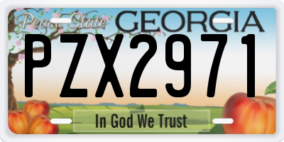 GA license plate PZX2971