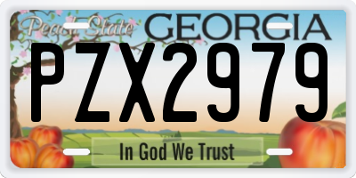 GA license plate PZX2979