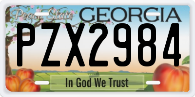 GA license plate PZX2984