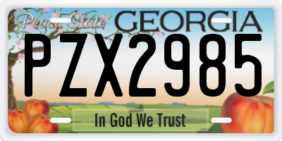 GA license plate PZX2985