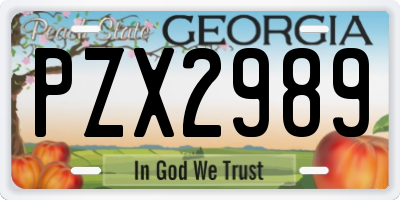 GA license plate PZX2989