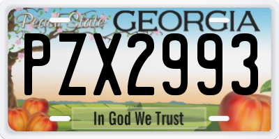 GA license plate PZX2993
