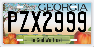 GA license plate PZX2999