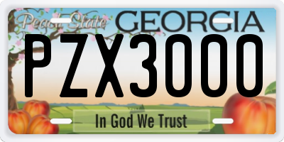 GA license plate PZX3000