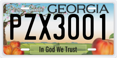 GA license plate PZX3001