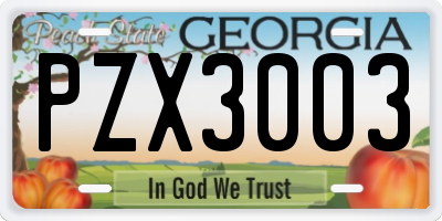 GA license plate PZX3003