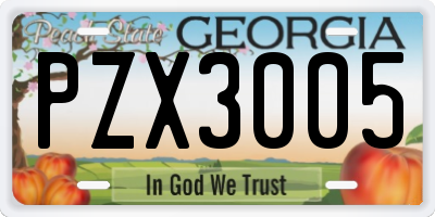 GA license plate PZX3005