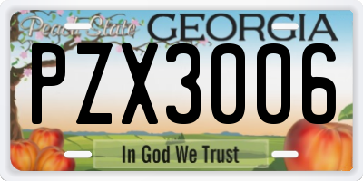 GA license plate PZX3006