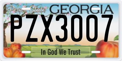 GA license plate PZX3007