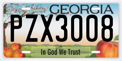 GA license plate PZX3008