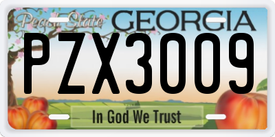 GA license plate PZX3009