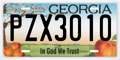 GA license plate PZX3010