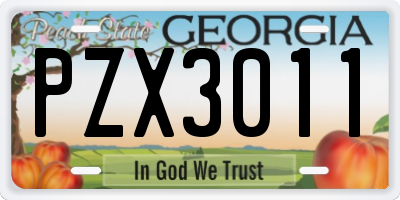 GA license plate PZX3011