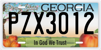 GA license plate PZX3012