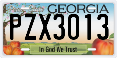 GA license plate PZX3013