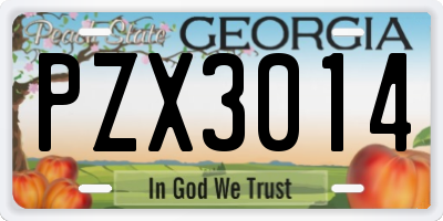 GA license plate PZX3014