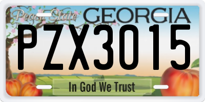 GA license plate PZX3015