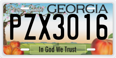 GA license plate PZX3016