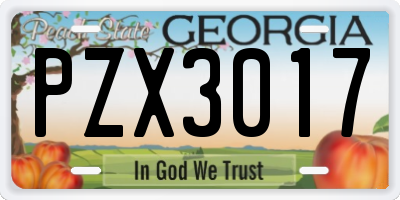 GA license plate PZX3017