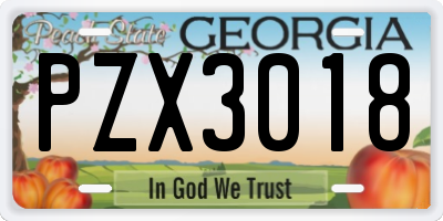 GA license plate PZX3018