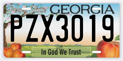 GA license plate PZX3019