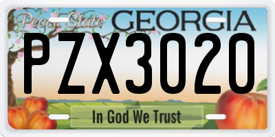 GA license plate PZX3020