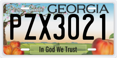 GA license plate PZX3021