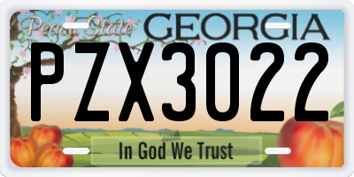 GA license plate PZX3022