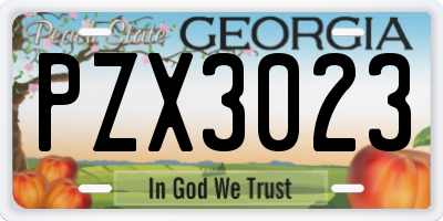 GA license plate PZX3023