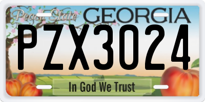 GA license plate PZX3024