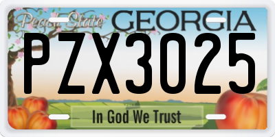 GA license plate PZX3025