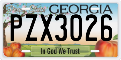 GA license plate PZX3026