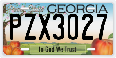 GA license plate PZX3027