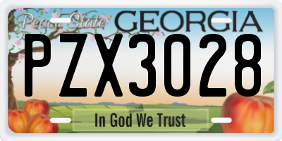 GA license plate PZX3028