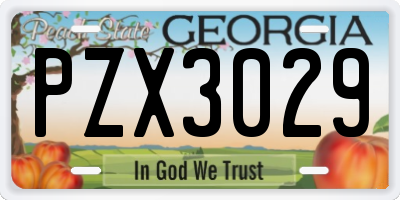 GA license plate PZX3029