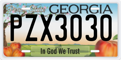 GA license plate PZX3030