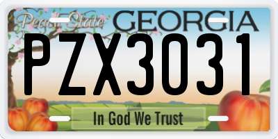 GA license plate PZX3031