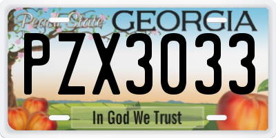 GA license plate PZX3033