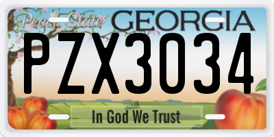 GA license plate PZX3034