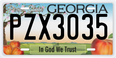 GA license plate PZX3035