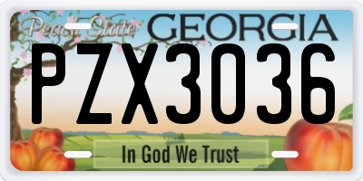 GA license plate PZX3036