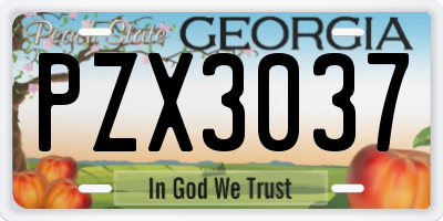 GA license plate PZX3037