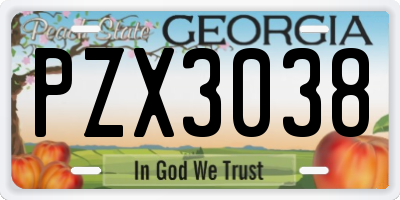 GA license plate PZX3038