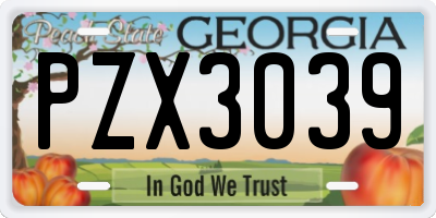 GA license plate PZX3039