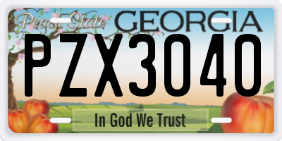 GA license plate PZX3040