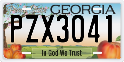 GA license plate PZX3041