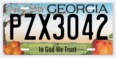 GA license plate PZX3042