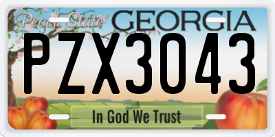 GA license plate PZX3043